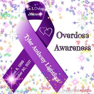 Meet your Posher, Nancytom